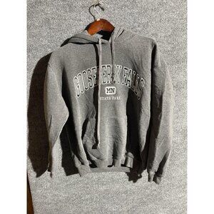 Gooseberry Falls Hoodie Sweatshirt Mens Medium Gray State Park Fleece Graphic